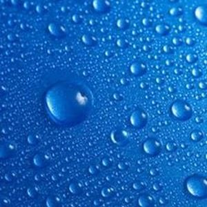 Meet your Posher, Naika